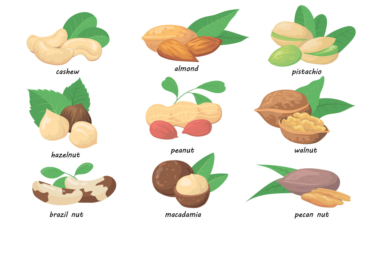 afvallen met zaden en noten